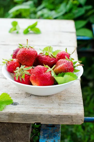 In einer Schüssel mit frischen Erdbeeren — Stockfoto
