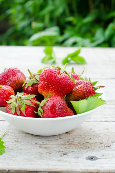 In einer Schüssel mit frischen Erdbeeren — Stockfoto