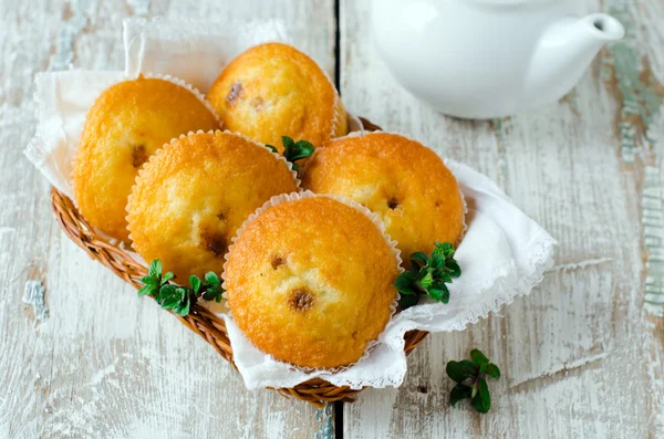 A csokoládé csepp Muffin — Stock Fotó