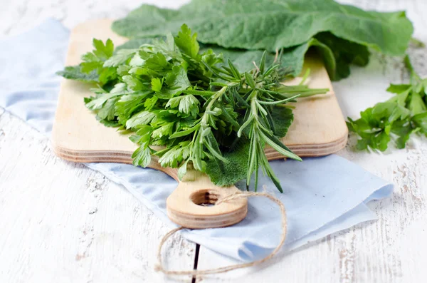 Aromatic herbs — Stock Photo, Image