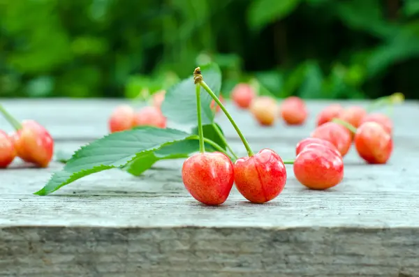 Frische Kirschen — Stockfoto