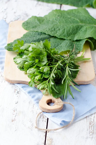 Hierbas aromáticas — Foto de Stock