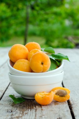 taze kayısı. seçici odak