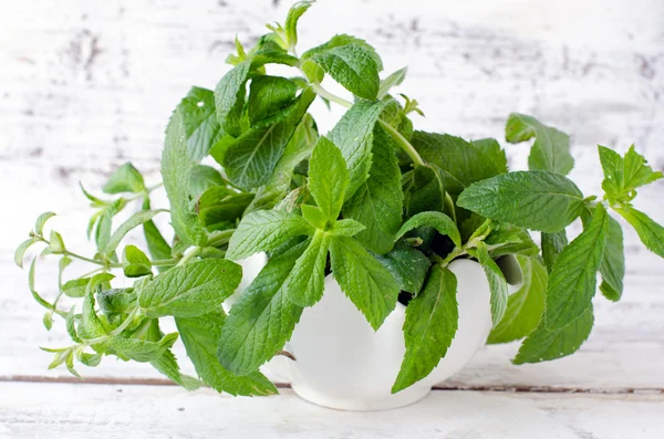 Fresh mint in a bowl — Stock Photo, Image