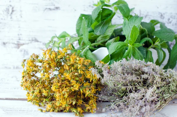 Torkade st. john's wort, timjan och mynta — Stockfoto