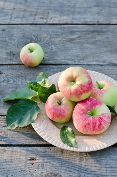 Frische Äpfel — Stockfoto