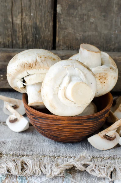 Champignons in een kom — Stockfoto