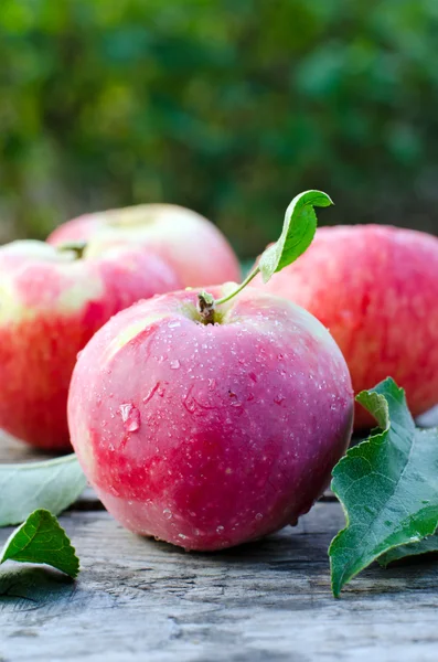 新鮮な赤いリンゴ — ストック写真