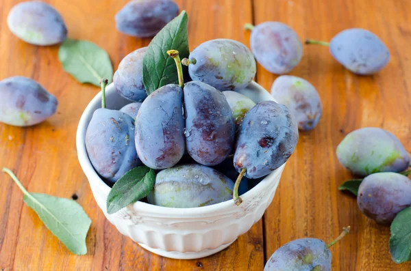 Fresh prunes — Stock Photo, Image