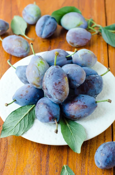 Fresh prunes — Stock Photo, Image