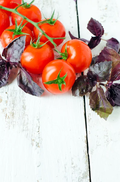 Fresh tomatoes cherry and Basil — Stock Photo, Image