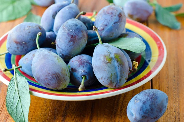 Fresh prunes — Stock Photo, Image