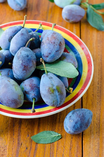 Fresh prunes — Stock Photo, Image