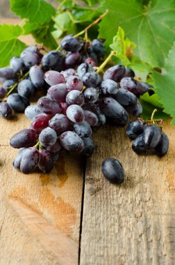 taze kırmızı üzüm