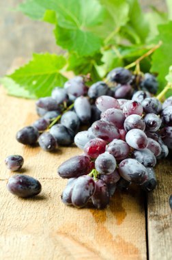 taze kırmızı üzüm