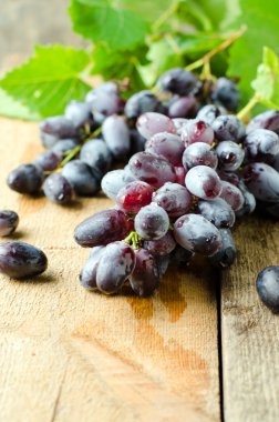 taze kırmızı üzüm