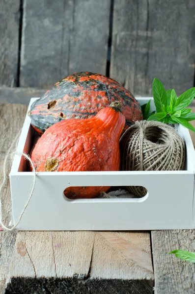 Calabaza sobre una mesa de madera — Foto de Stock