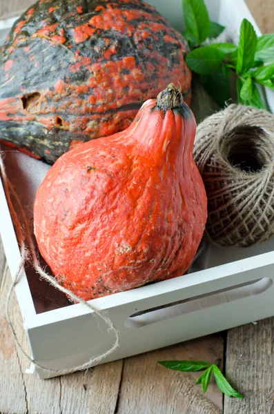 Pumpkin on a wooden table — Stock Photo, Image
