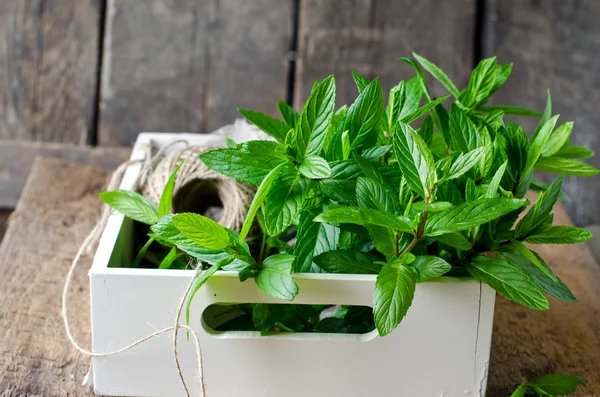 Menta fresca sobre fondo de madera — Foto de Stock