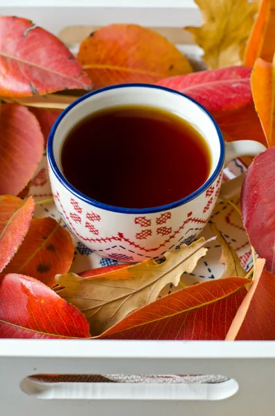 Šálek čaje na stole s podzimní listí — Stock fotografie