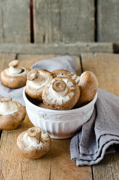 Cogumelos frescos em uma tigela — Fotografia de Stock
