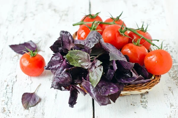 Fresh purple basil and cherry tomatoes — Stock Photo, Image