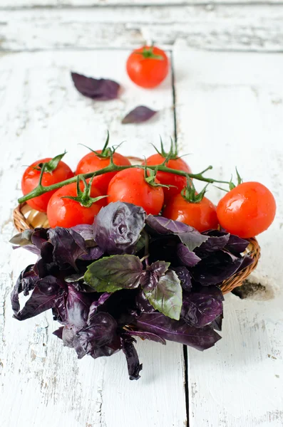 Fresh purple basil and cherry tomatoes — Stock Photo, Image