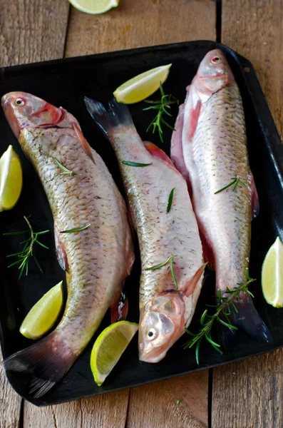 新鲜的鱼，用柠檬和迷迭香 — 图库照片