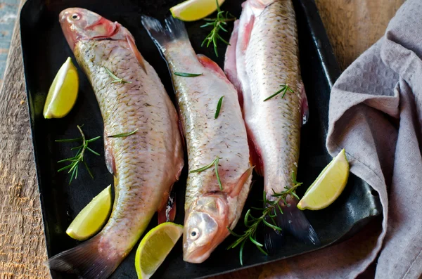 Fresh fish with lemon and rosemary — Stock Photo, Image