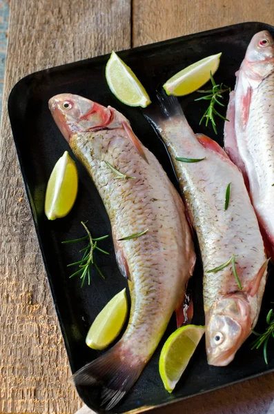 레몬, 로즈마리와 신선한 생선 — 스톡 사진