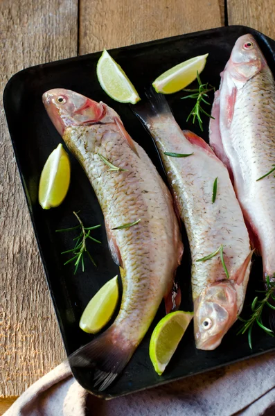 Verse vis met citroen en rozemarijn — Stockfoto