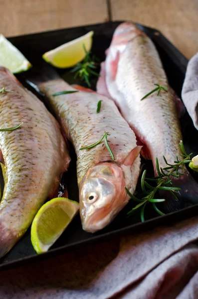 Pesce fresco con limone e rosmarino — Foto Stock