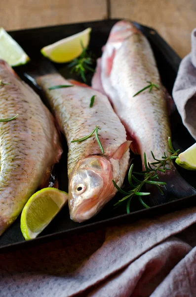 Pesce fresco con limone e rosmarino — Foto Stock