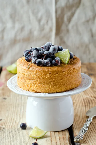 Sponge cake with berries — Stock Photo, Image