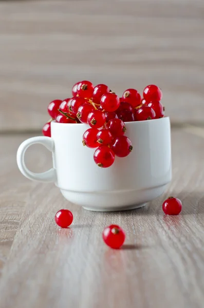 Fresh red currants in a bowl — Stock Photo, Image