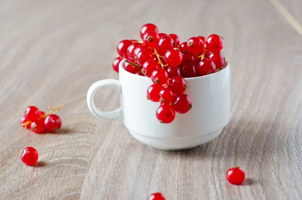 Groselhas vermelhas frescas em uma tigela — Fotografia de Stock