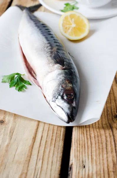 Fresh mackerel on a wooden table — Stock Photo, Image