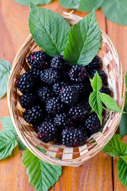 Bir kasede taze böğürtlen