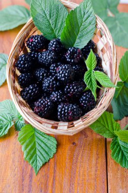 Bir kasede taze böğürtlen