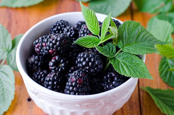 Fresh blackberries in a bowl — Stock Photo, Image
