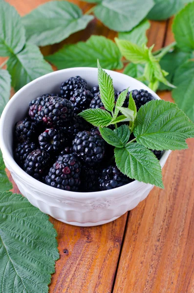 Fresh blackberries in a bowl — Stock Photo, Image