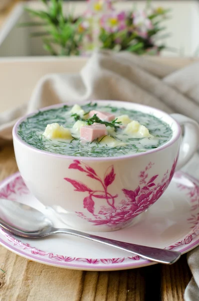 Cold summer soup — Stock Photo, Image