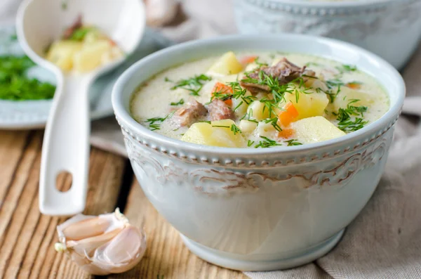 Sopa de queso con pollo y verduras —  Fotos de Stock