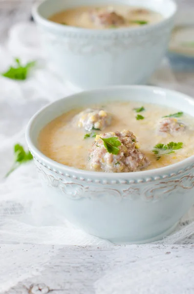 Supă cu chiftele — Fotografie, imagine de stoc
