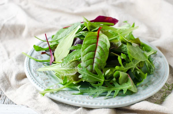 Salade mix in een kom — Stockfoto