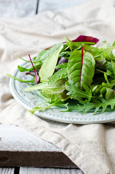 Sallad blandning i en skål — Stockfoto