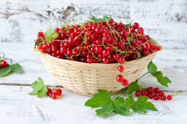 bir kase taze kırmızı kuş üzümü