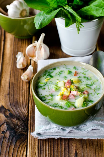 Sopa fría de verano, okroshka —  Fotos de Stock