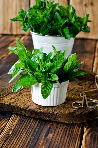 Dos variedades de menta en una mesa de madera — Foto de Stock