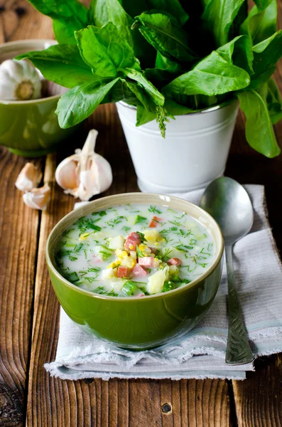 Sommer kalte Suppe, okroshka — Stockfoto